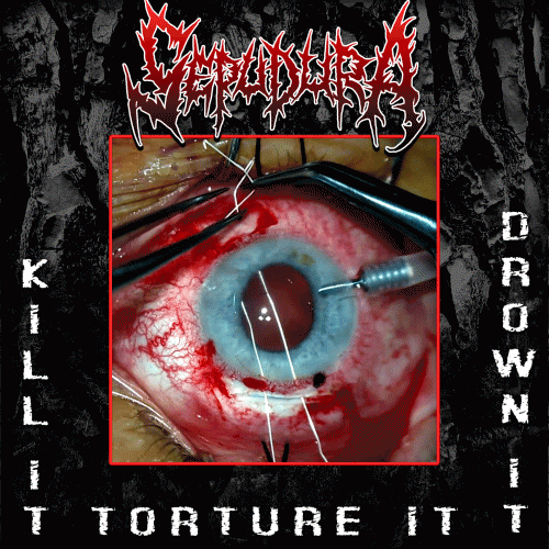 Kill It, Torture It, Drown It